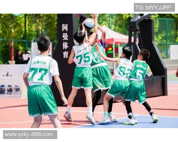 沈梓捷：从青年才俊到篮球赛场的璀璨明星之路与未来展望